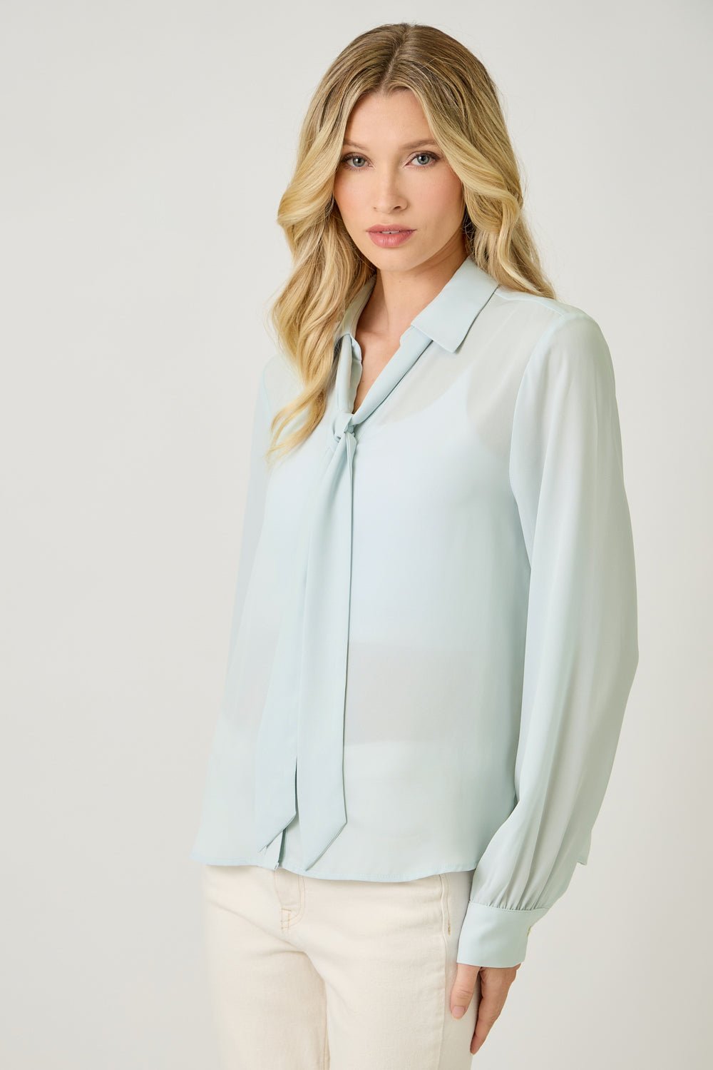 Detachable Tie Neck Blouse - Mainstream Boutique